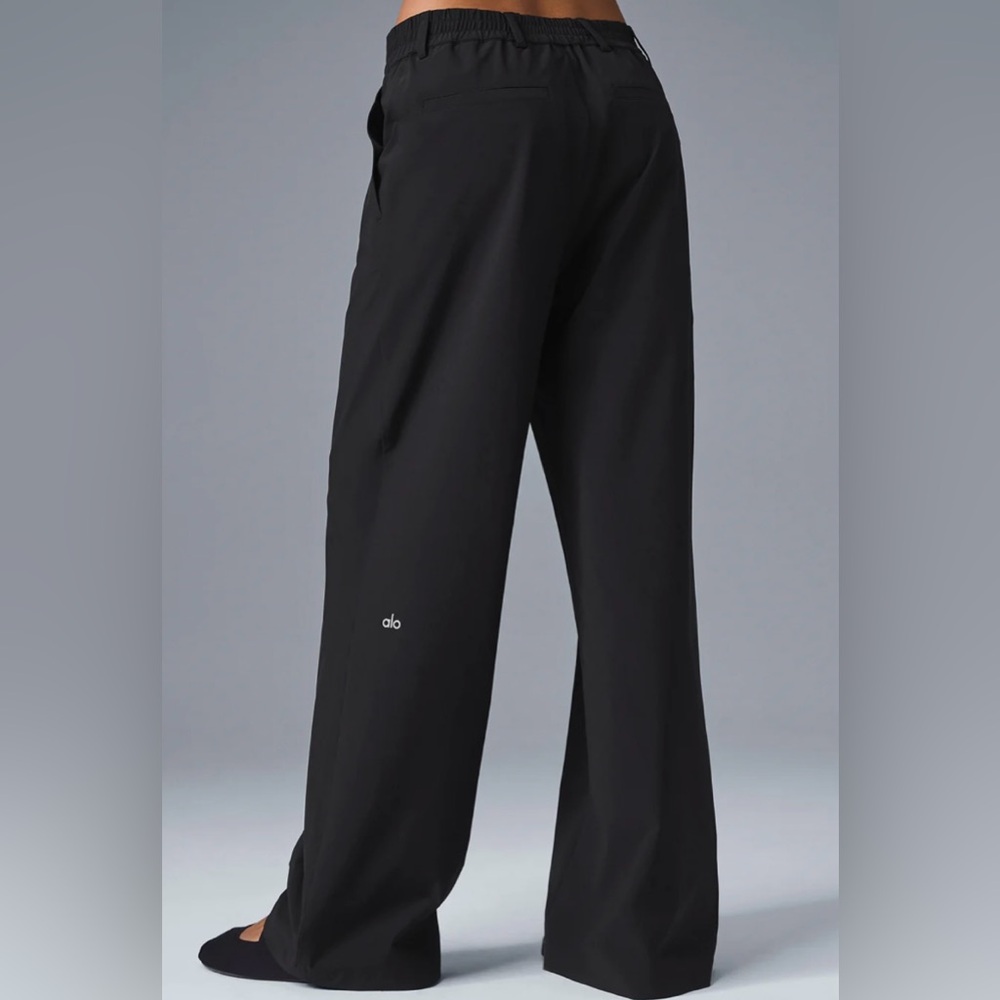 NWT ALO Yoga High-Waist Pursuit Trouser - Regular 30” inseam Size M/L - Picture 3 of 9